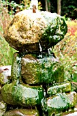 BLANKETWEED ON FOUNTAIN