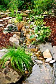 NEWLY BUILT STREAM AS OUTFLOW FROM POND