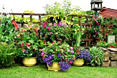 YELLOW CONTAINERS WITH SUMMER PLANTING