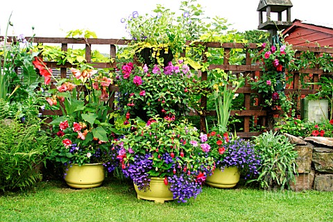 YELLOW_CONTAINERS_WITH_SUMMER_PLANTING