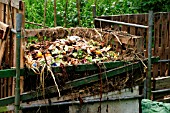 COMPOST HEAP WITH KITCHEN WASTE