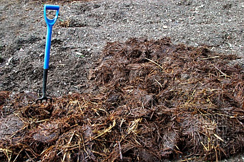SPREADING_FARM_MANURE_WITH_FORK