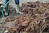 SPREADING FARM MANURE IN  AUTUMN