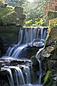 WATERFALL IN SPRING