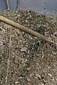 SOWING PEAS,  USE A RAKE TO COVER THE SEEDS WITH SOIL