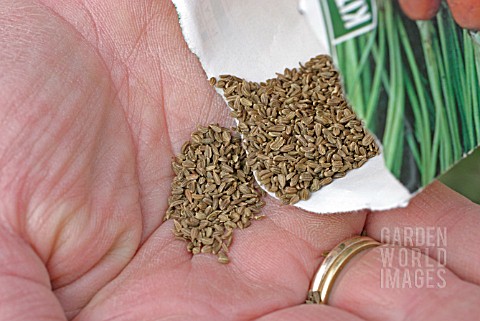 SOWING_CARROT_SEED__CLOSE_UP_OF_SEED