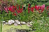 GARDEN STREAM WITH ASTILBES