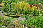 GARDEN STREAM WITH MIMULUS