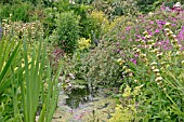 GARDEN POND WELL PLANTED IN JULY