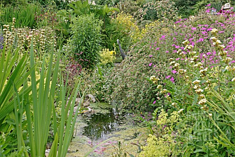 GARDEN_POND_WELL_PLANTED_IN_JULY