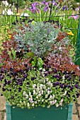 PATIO PLANTER PLANTED WITH VEGETABLES AND FLOWERS IN EARLY SUMMER