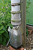 PLASTIC COLUMN USED TO MAKE LIQUID FEED FROM COMFREY