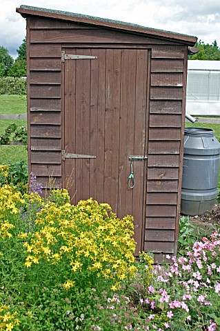 ALLOTMENT_SHED_IN_SUMMER