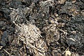 COMPOST MATERIAL,   FARMYARD MANURE