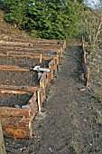 RAISED BEDS MAKING PATHS USE TIMBER OFFCUTS TO CREATE A PATH EDGE