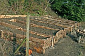 RAISED BEDS SHOWING PARTIALLY COMPLETED SERIES OF BEDS