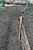 RAISED BEDS,  DIGGING OUT THE PATH