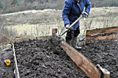 RAISED BEDS DIGGING OUT PATHS AND PUTTING SOIL ONTO ADJACENT BEDS