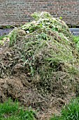 WASTE PLANT MATERIAL,  PILED READY FOR COMPOSTING