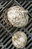 GARLIC (ELEPHANT) DRYING IN TRAY