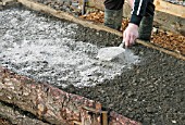 APPLY WOOD ASH SPARINGLY TO SOIL BEFORE PLANTING