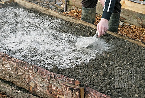 APPLY_WOOD_ASH_SPARINGLY_TO_SOIL_BEFORE_PLANTING