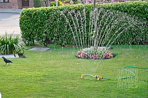 WATERING_USING_AUTOMATIC_SPRINKLER_ON_LAWN