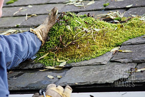 REMOVING_MOSS_FROM_SLATE_ROOF