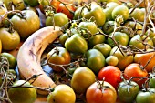 RIPENING GREEN TOMATOES ON WINDOWSILL WITH RIPE BANANA