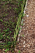 WOVEN WILLOW FOR FENCING