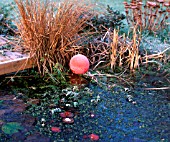 ICE ON PONDS,  BALL ON ICE