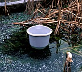 FROZEN POND,  MELTING HOLE WITH BUCKET OF WATER