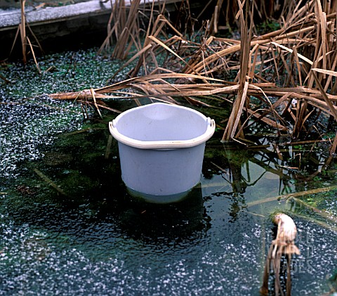 FROZEN_POND__MELTING_HOLE_WITH_BUCKET_OF_WATER