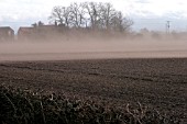 WIND BLOWN SOIL EROSION