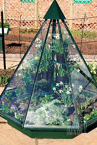 MINIATURE_GREENHOUSE_IN_SPRING