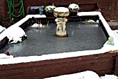 RAISED POND IN WINTER