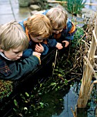 CHILDREN BY POND, (DO NOT LEAVE CHILDREN UNSUPERVISED)