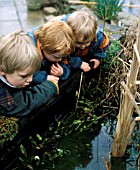 CHILDREN BY POND, (DO NOT LEAVE CHILDREN UNSUPERVISED)