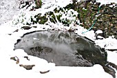 FROZEN POOL