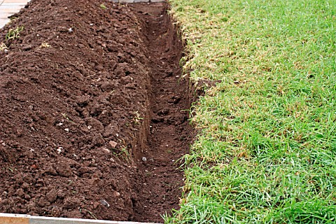 DIGGING_IN_GREEN_MANURE