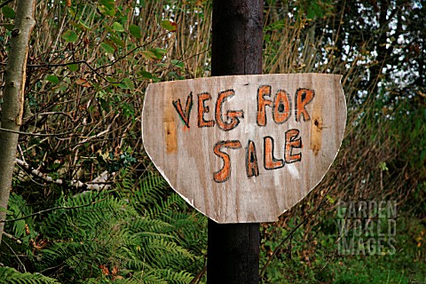 VEGETABLES_FOR_SALE_SIGN