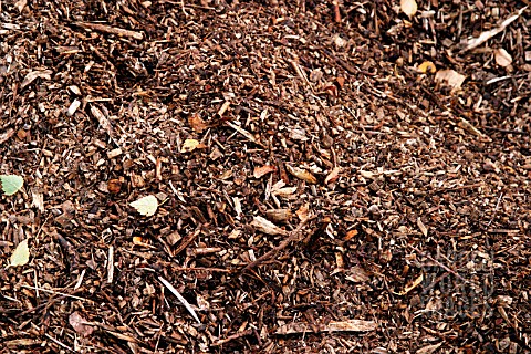 WOODCHIPS_USED_AS_MULCH
