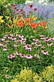 ECHINACEA, HEMEROCALLIS AND  PEROVSKIA MIX