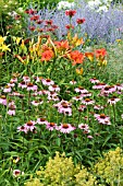 ECHINACEA, HEMEROCALLIS AND  PEROVSKIA MIX