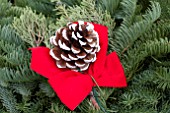 PINE CONE WITH BOW