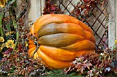 AUTUMN SCENE LARGE PUMPKIN