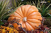 AUTUMN SCENE LARGE PUMPKIN