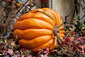 AUTUMN SCENE LARGE PUMPKIN