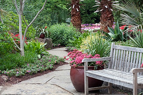 TROPICAL_GARDEN_SCENE_WITH_BENCH_AND_PATH