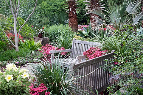 TROPICAL_GARDEN_SCENE_WITH_BENCHES